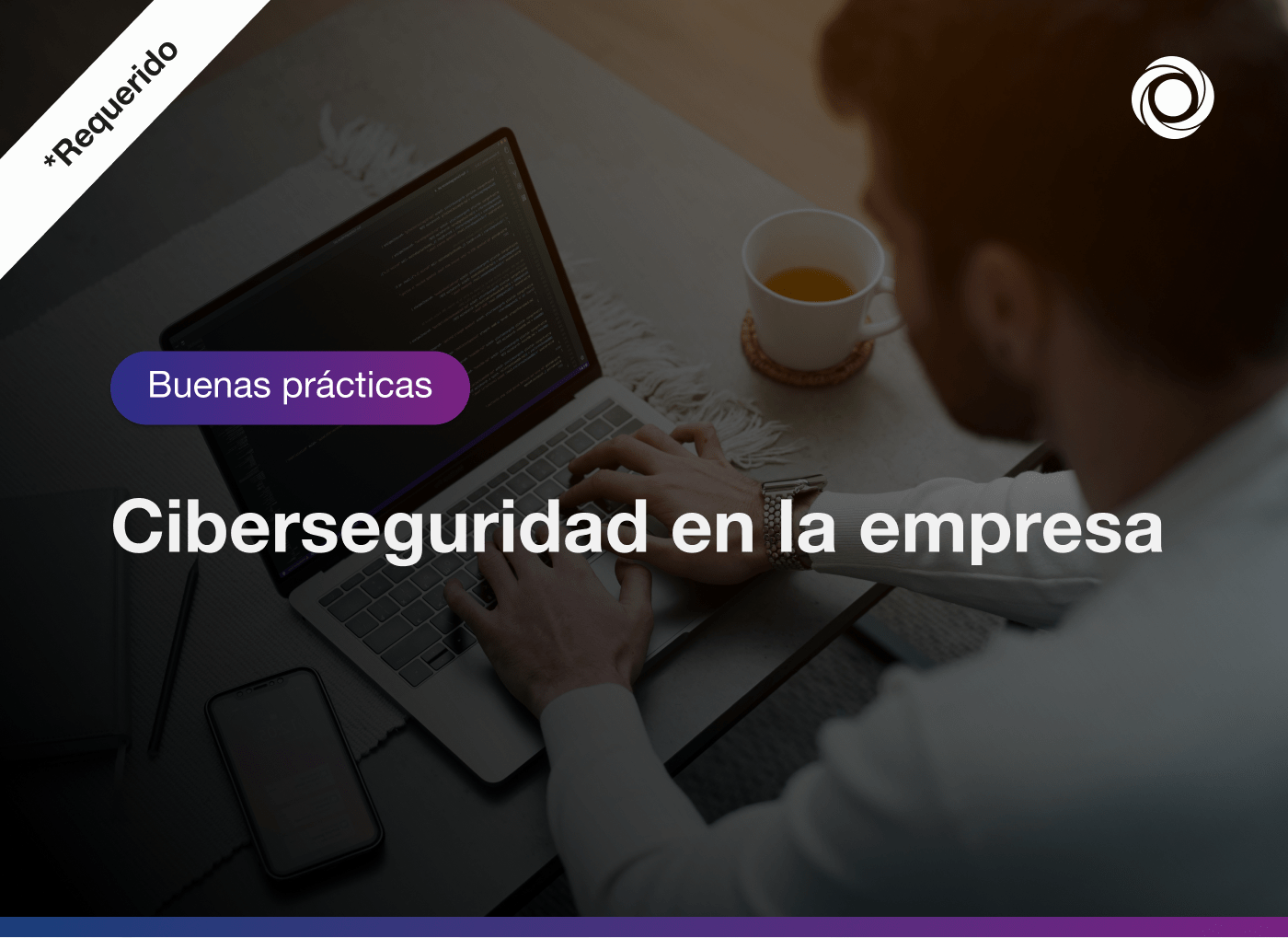 Ciber Seguridad en la Empresa Nuevos Ingresos